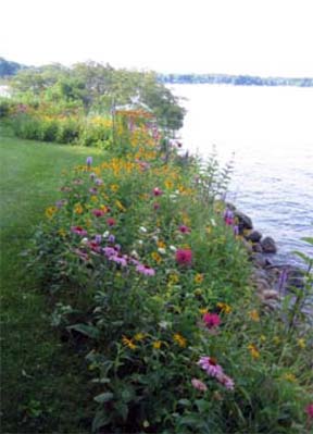 shoreline landscape